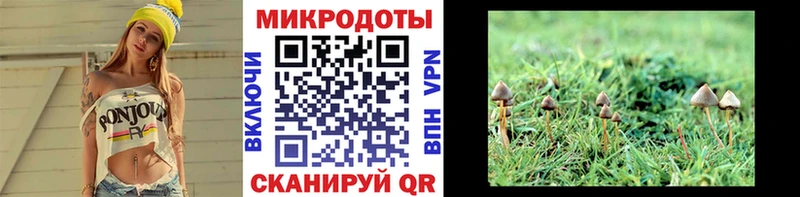 Псилоцибиновые грибы мицелий Североморск