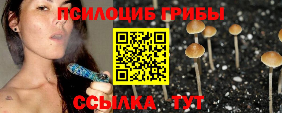 Галлюциногенные грибы Cubensis  Вход с VPN  наркошоп  Североморск 