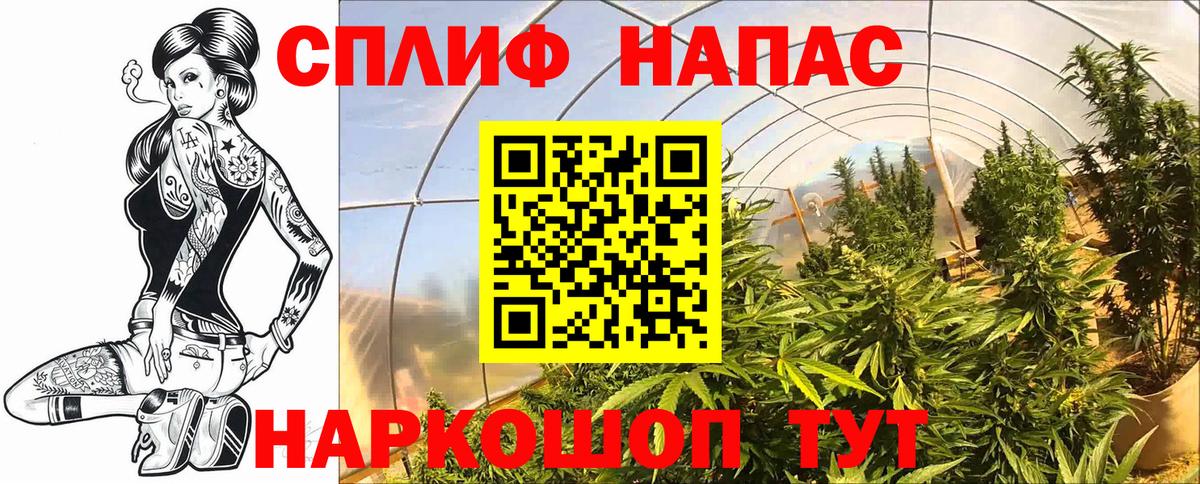 Бошки Шишки Ganja Североморск
